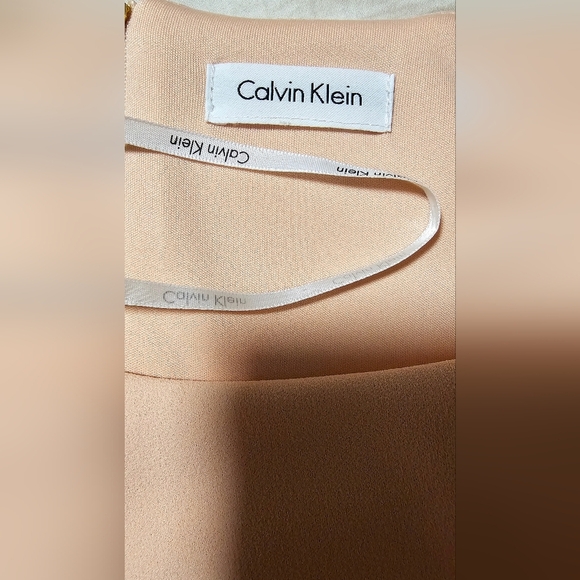 Calvin Klein Blush Bell 3/4 Sleeve Shift Pencil Dress size 10 M - Picture 11 of 12